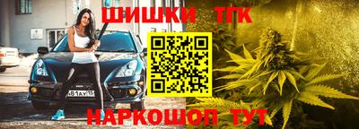 PSILOCYBIN Заводоуковск