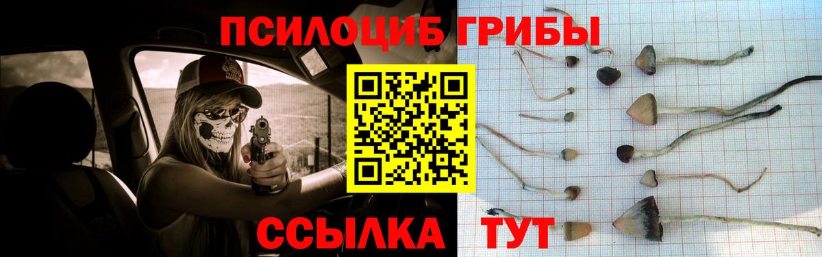 Галлюциногенные грибы прущие грибы Лянтор